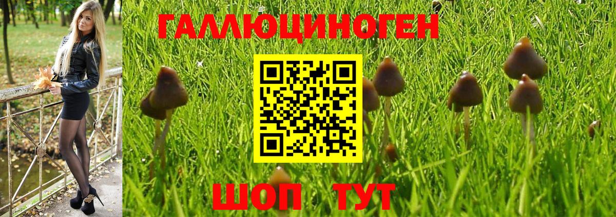 Псилоцибиновые грибы Psilocybine cubensis  Вход с VPN  Янаул 